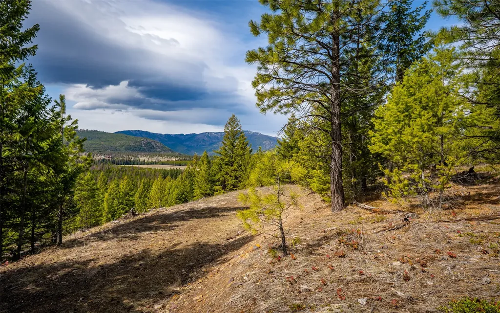 4689 Mcginnis Meadows Road Libby MT 59923