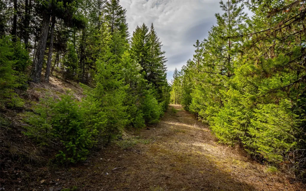 4689 Mcginnis Meadows Road Libby MT 59923