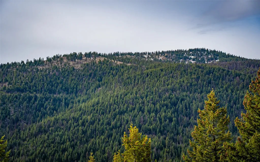 4689 Mcginnis Meadows Road Libby MT 59923