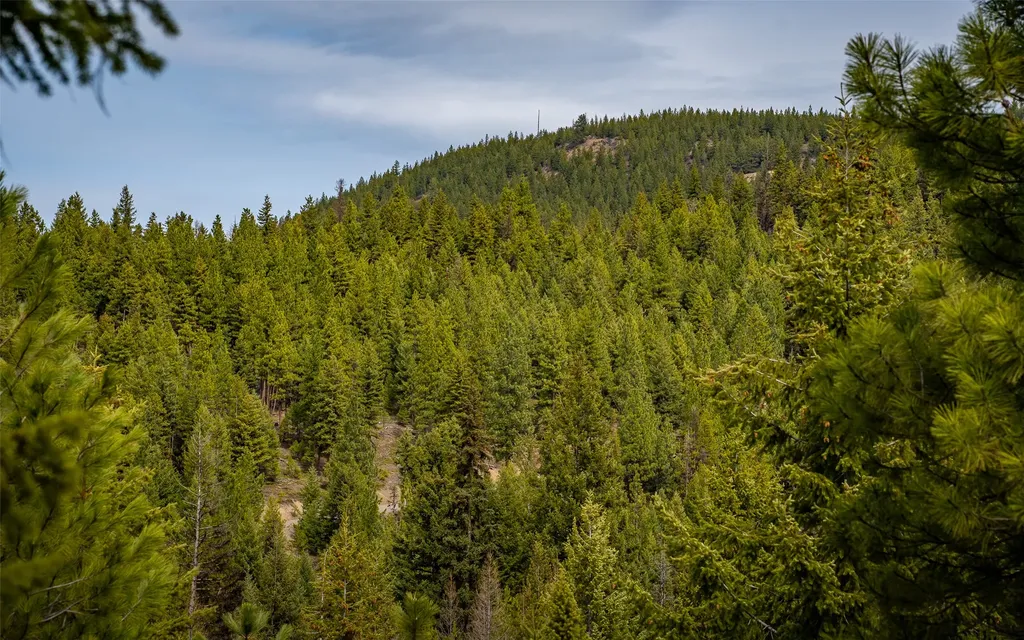 4689 Mcginnis Meadows Road Libby MT 59923