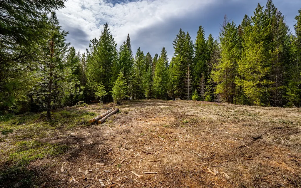 4689 Mcginnis Meadows Road Libby MT 59923