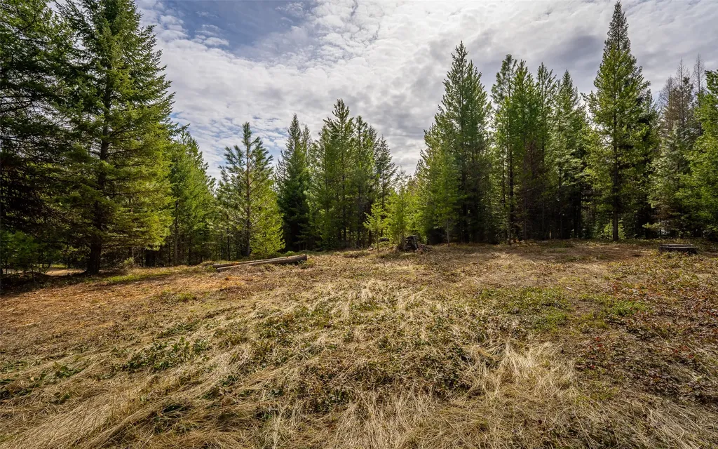 4689 Mcginnis Meadows Road Libby MT 59923