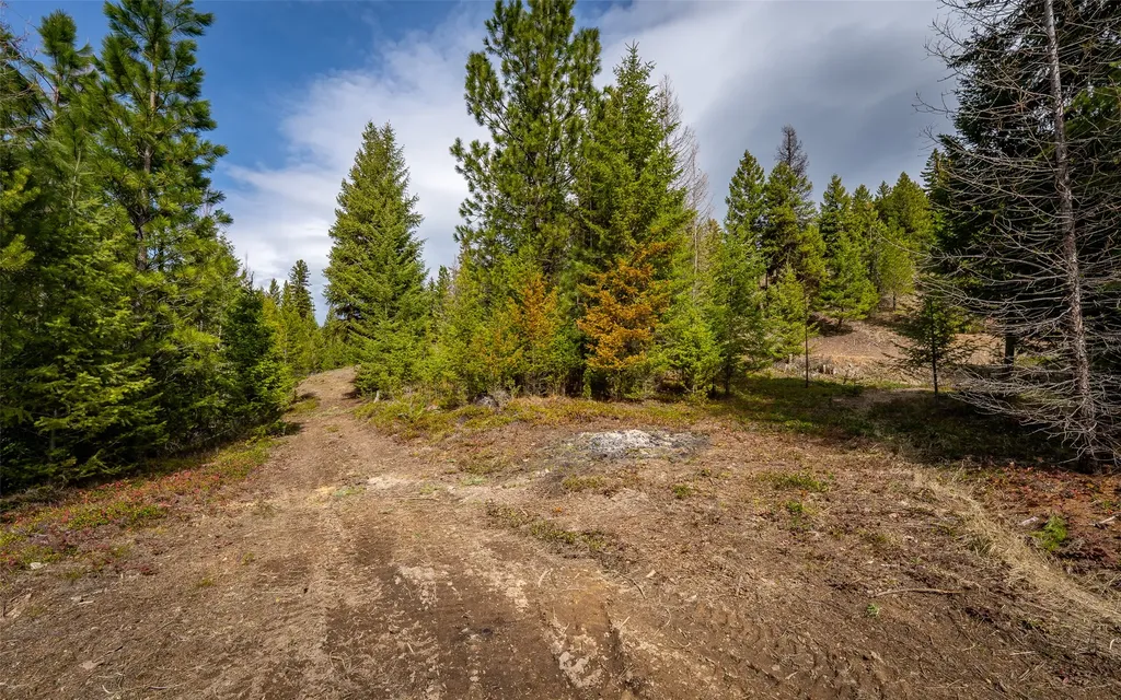 4689 Mcginnis Meadows Road Libby MT 59923