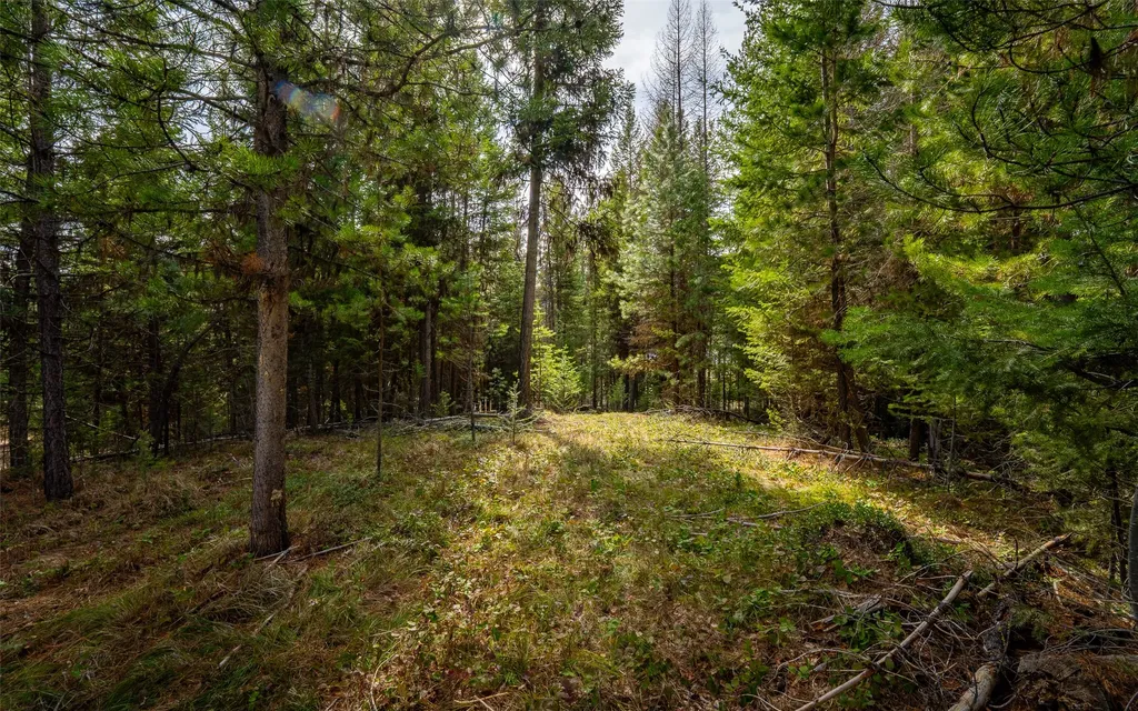 4689 Mcginnis Meadows Road Libby MT 59923