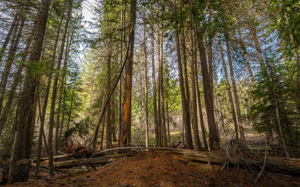 4689 Mcginnis Meadows Road Libby MT 59923
