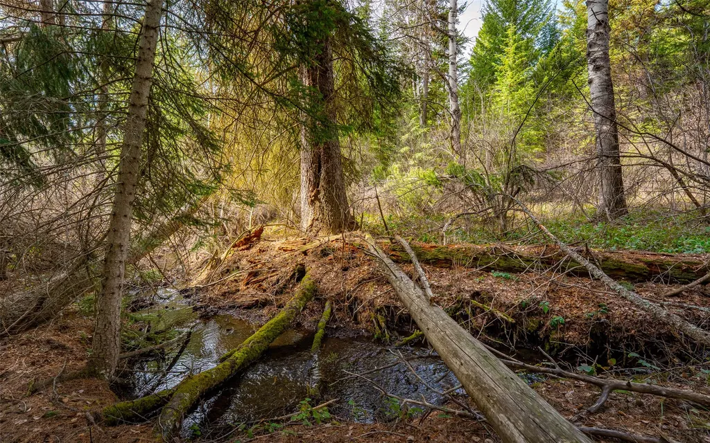 4689 Mcginnis Meadows Road Libby MT 59923