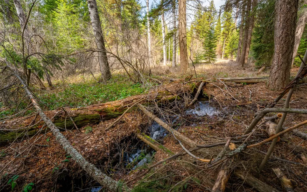 4689 Mcginnis Meadows Road Libby MT 59923