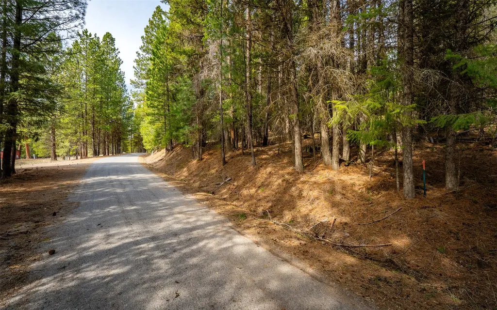 4689 Mcginnis Meadows Road Libby MT 59923