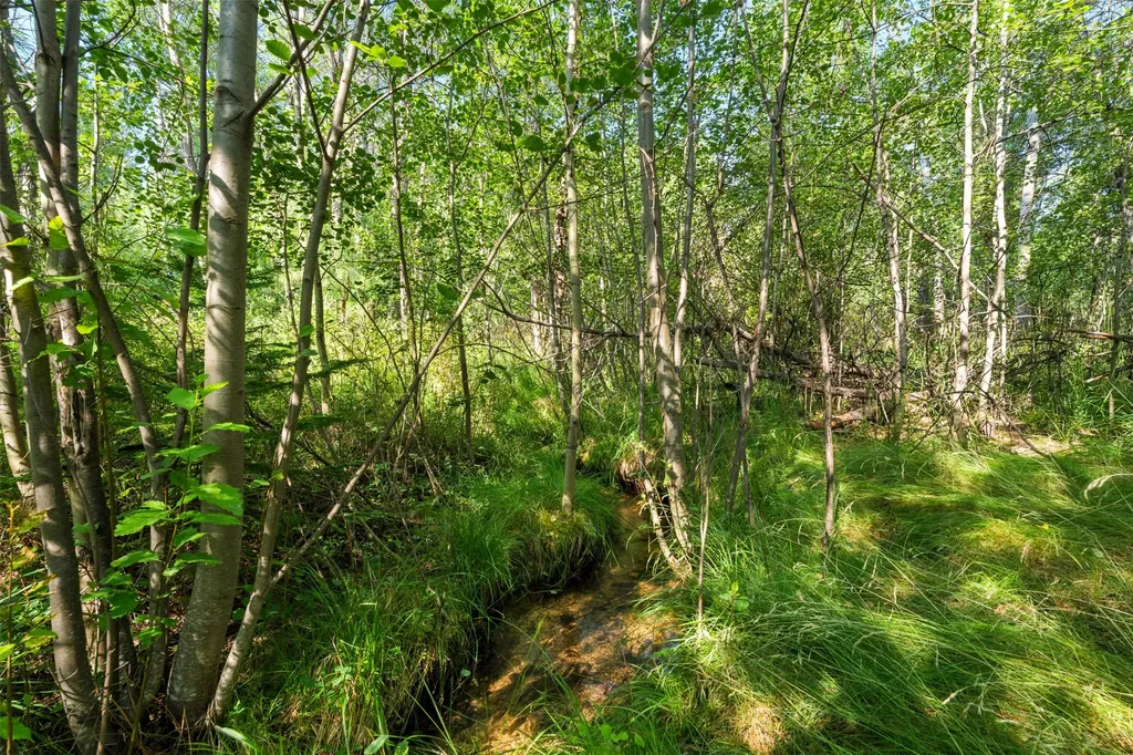 510 Paradise Trail Hamilton MT 59840
