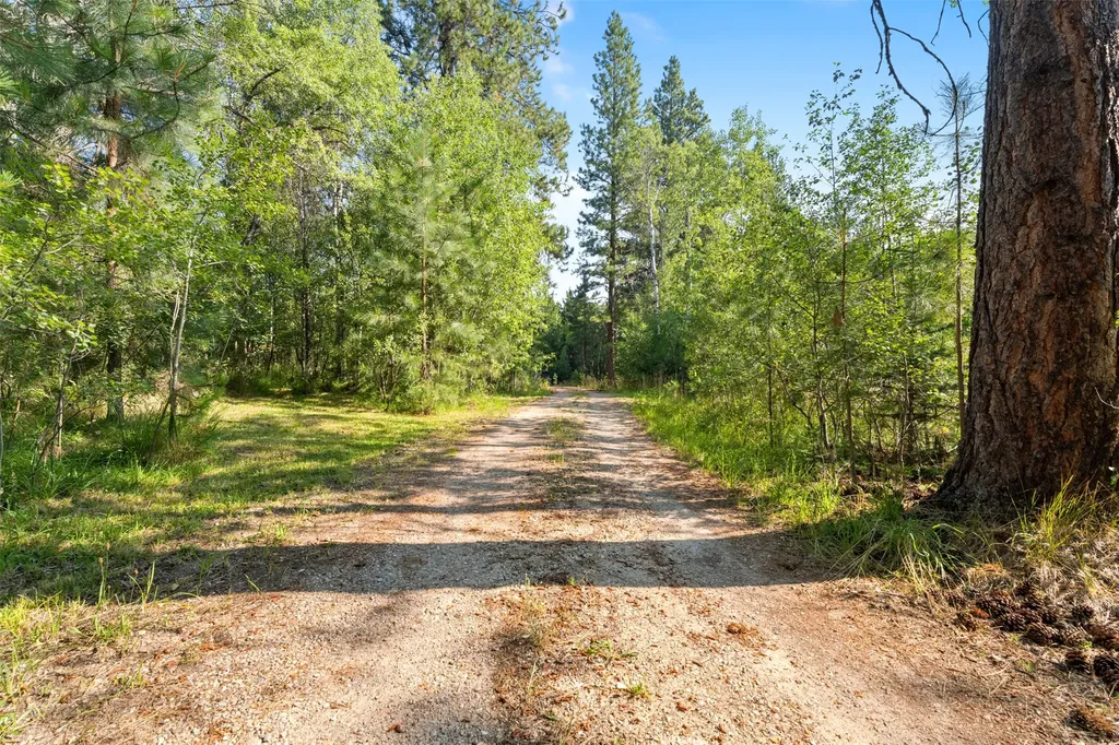 510 Paradise Trail Hamilton MT 59840