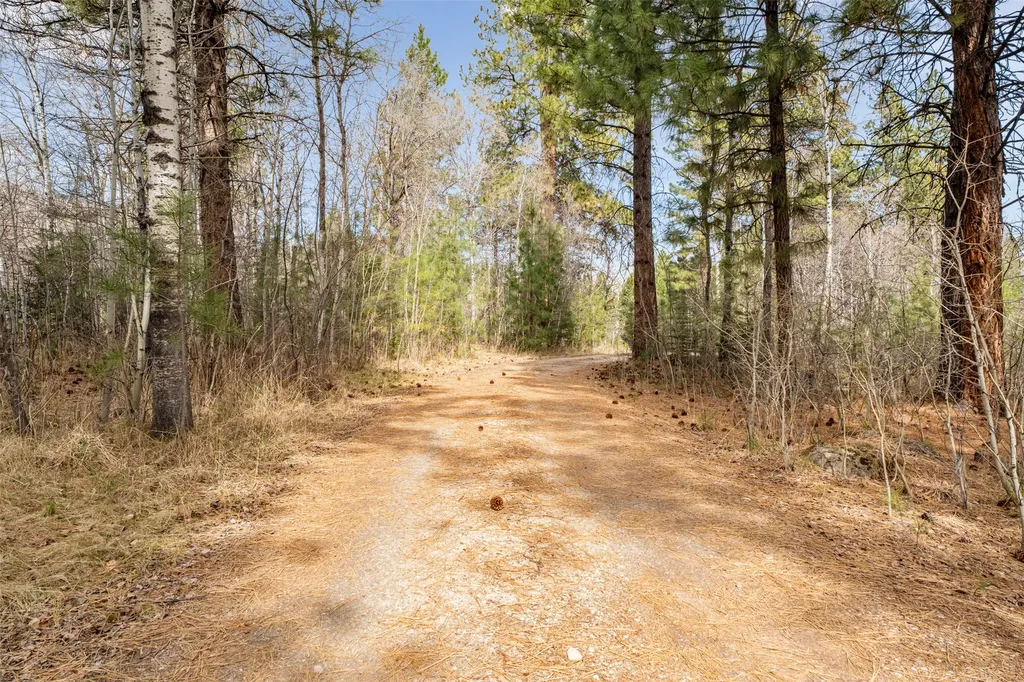 510 Paradise Trail Hamilton MT 59840