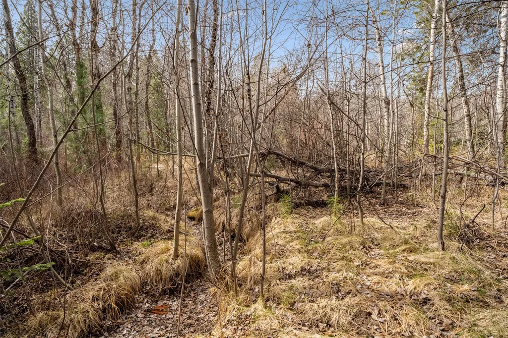 510 Paradise Trail Hamilton MT 59840
