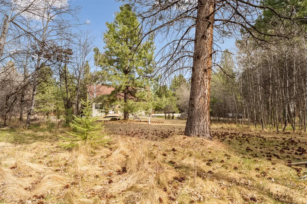 510 Paradise Trail Hamilton MT 59840