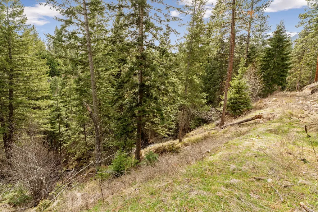 510 Paradise Trail Hamilton MT 59840