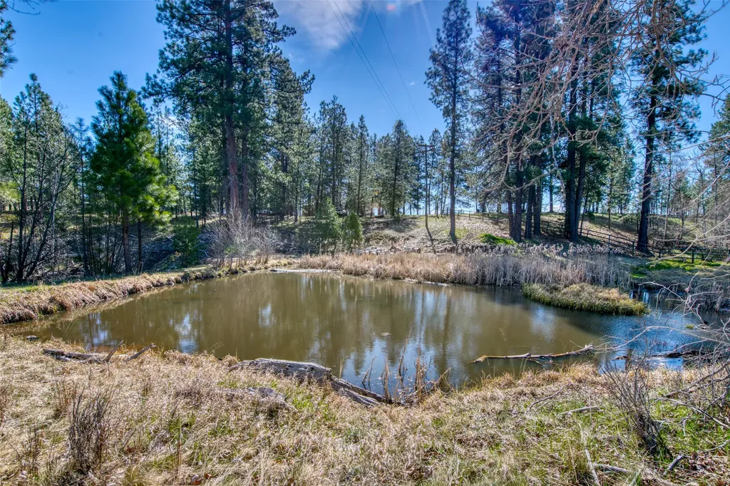 3544 Mcintosh Lane Darby MT 59829