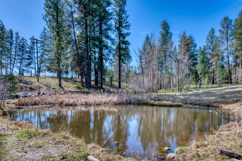 3544 Mcintosh Lane Darby MT 59829
