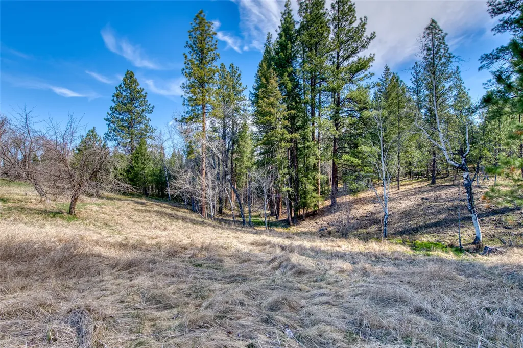 3544 Mcintosh Lane Darby MT 59829