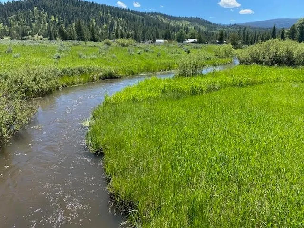 4425 W Willow Creek Road Lincoln MT 59639