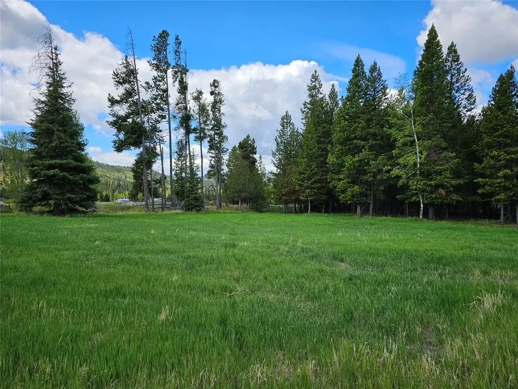 4425 W Willow Creek Road Lincoln MT 59639