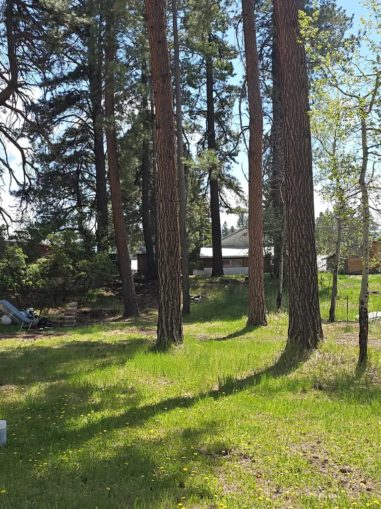 808 2nd Street N Lincoln MT 59639