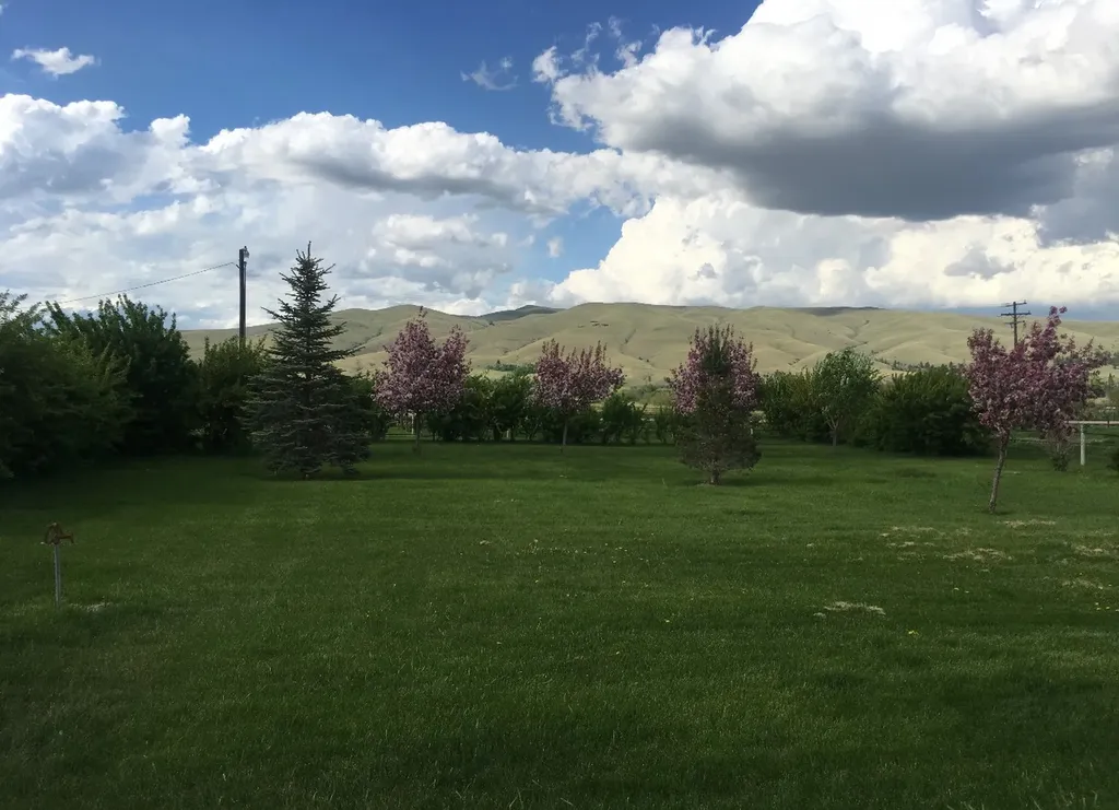 7517 Duffy Lane Canyon Creek MT 59633
