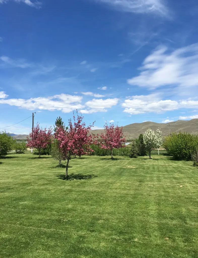7517 Duffy Lane Canyon Creek MT 59633