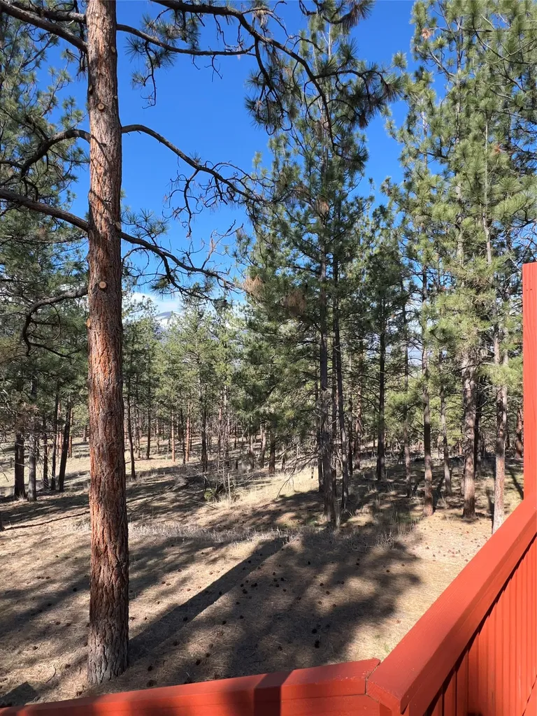 577 El Capitan Loop Stevensville MT 59870