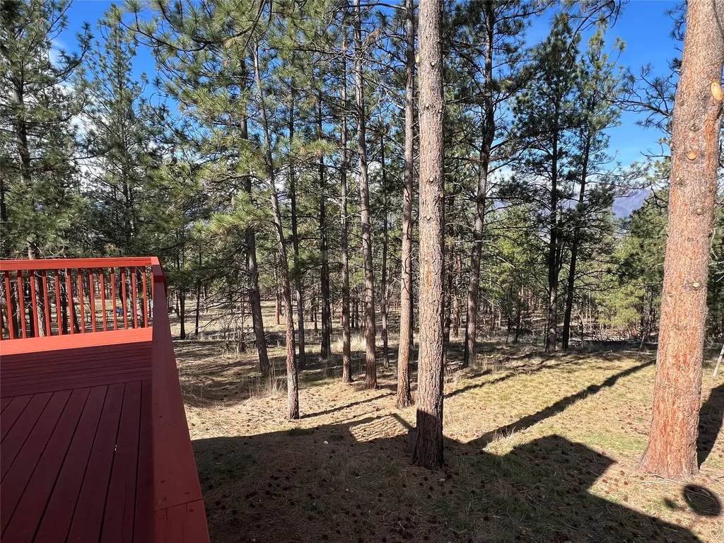 577 El Capitan Loop Stevensville MT 59870