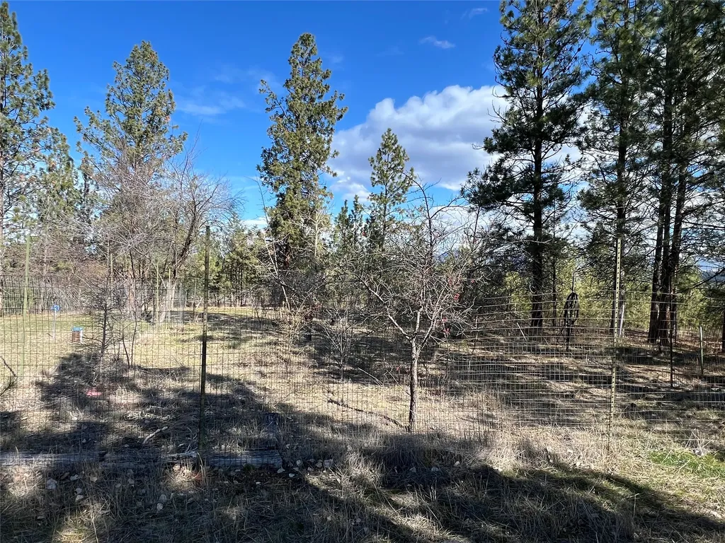 577 El Capitan Loop Stevensville MT 59870
