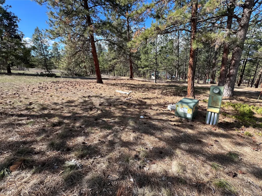 577 El Capitan Loop Stevensville MT 59870