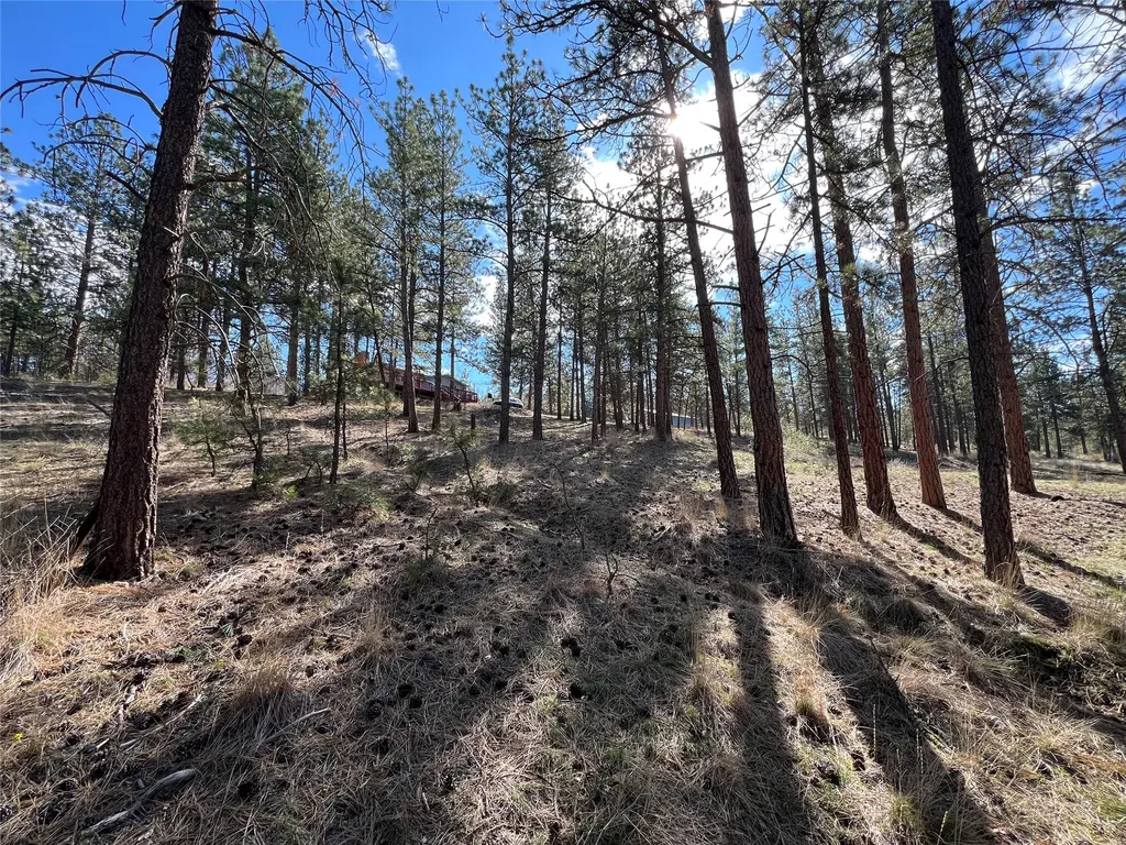577 El Capitan Loop Stevensville MT 59870