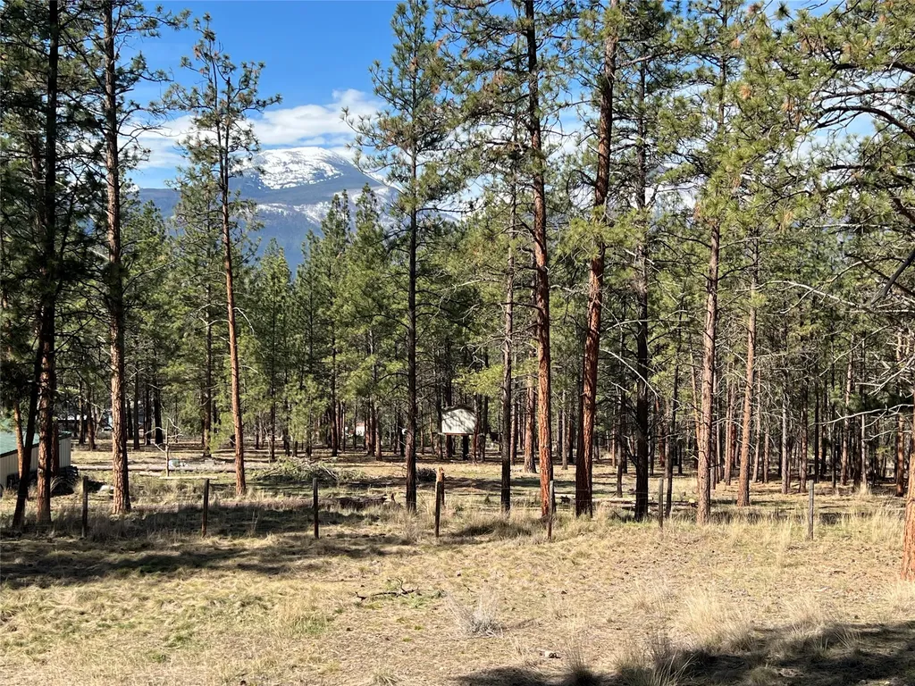 577 El Capitan Loop Stevensville MT 59870