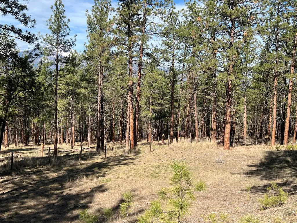 577 El Capitan Loop Stevensville MT 59870