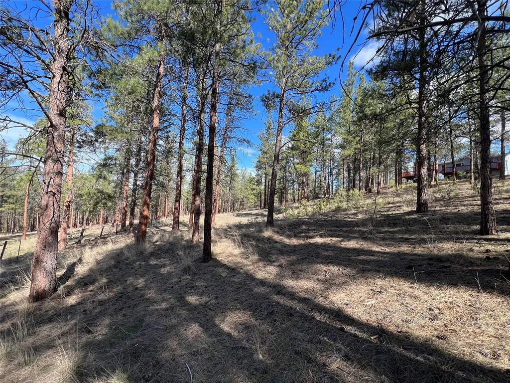 577 El Capitan Loop Stevensville MT 59870