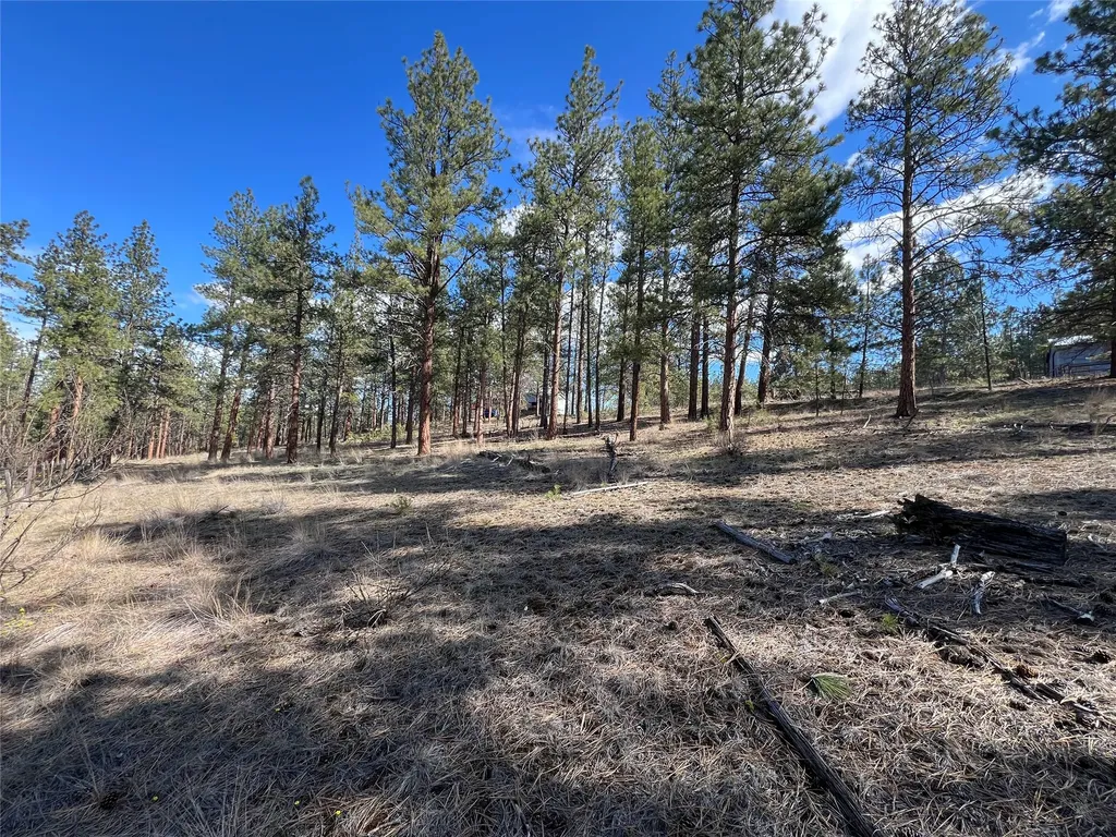 577 El Capitan Loop Stevensville MT 59870
