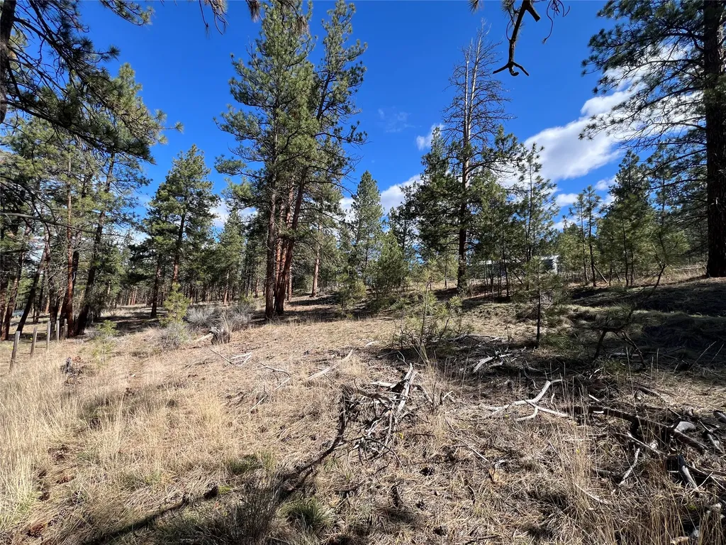 577 El Capitan Loop Stevensville MT 59870