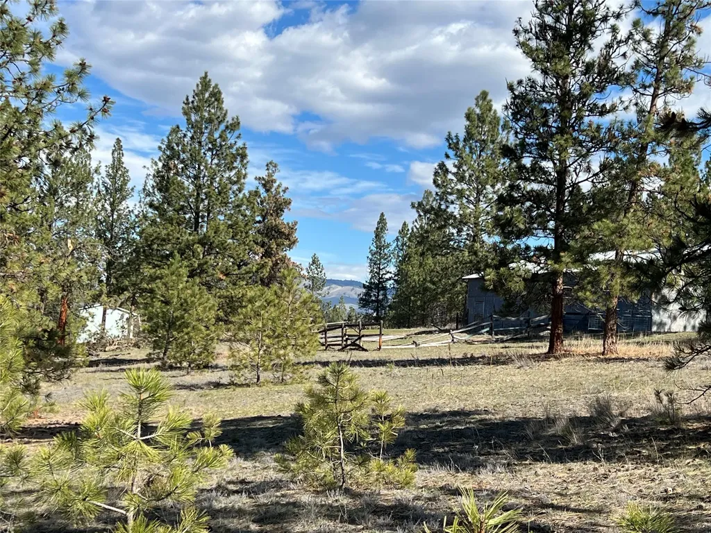 577 El Capitan Loop Stevensville MT 59870