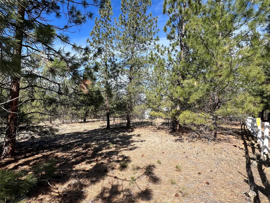 577 El Capitan Loop Stevensville MT 59870