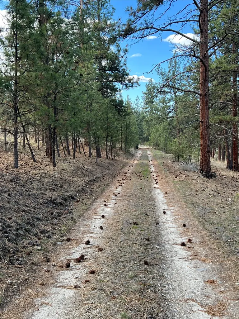 577 El Capitan Loop Stevensville MT 59870