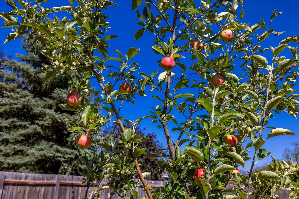 276 Somerset Drive Kalispell MT 59901