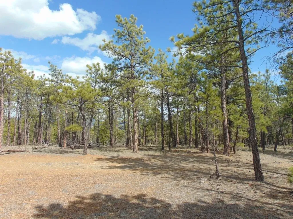 3575 Sweetwater Road Helena MT 59602