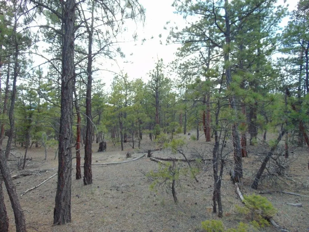 3575 Sweetwater Road Helena MT 59602