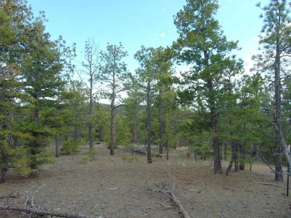 3575 Sweetwater Road Helena MT 59602