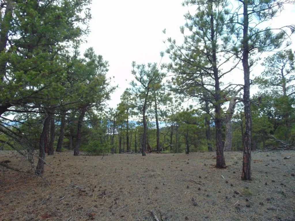 3575 Sweetwater Road Helena MT 59602