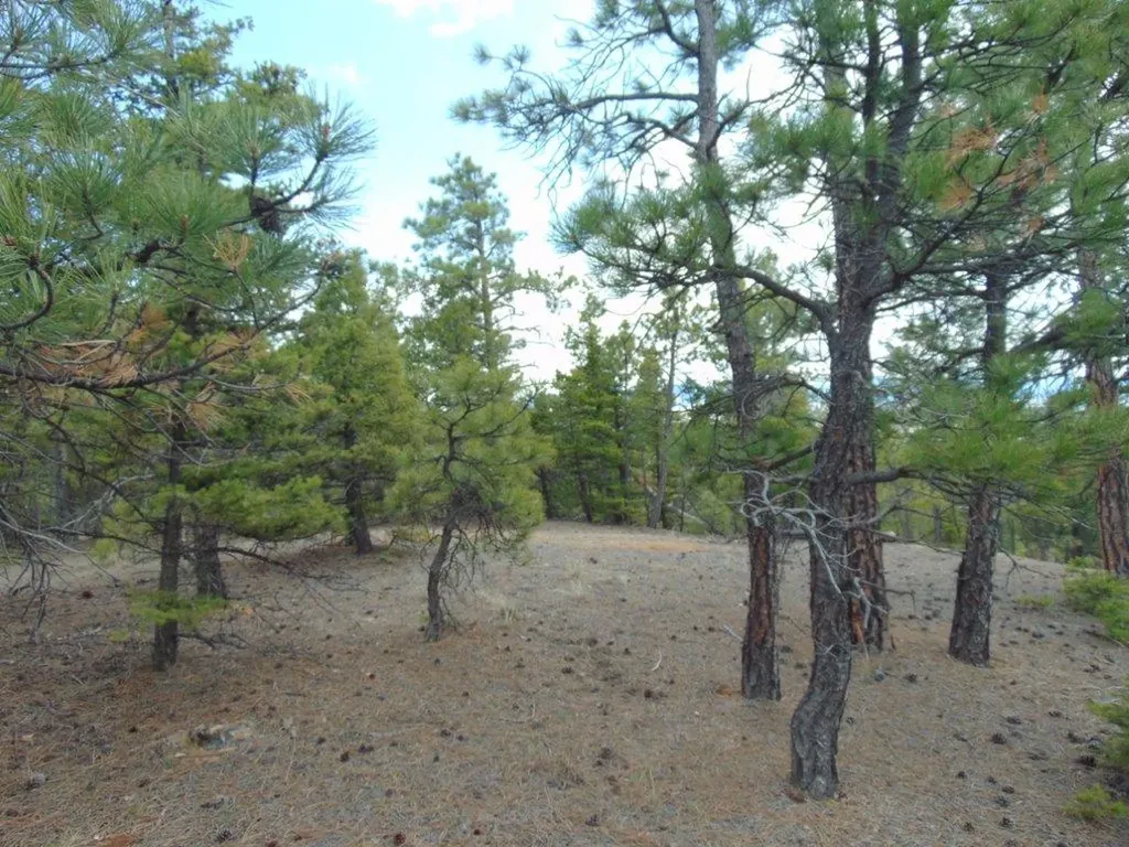 3575 Sweetwater Road Helena MT 59602