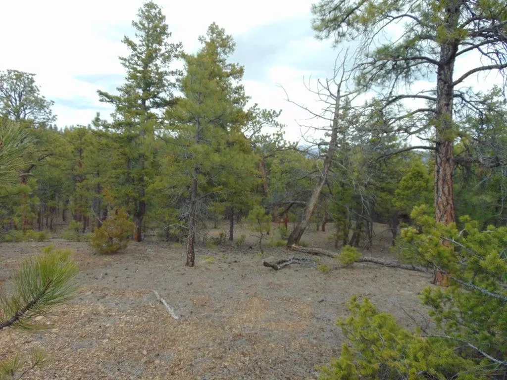 3575 Sweetwater Road Helena MT 59602