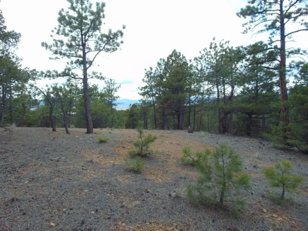 3575 Sweetwater Road Helena MT 59602