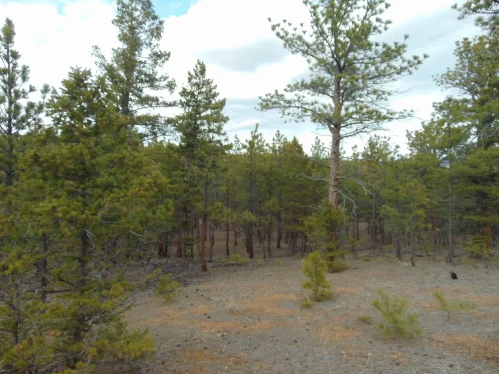 3575 Sweetwater Road Helena MT 59602