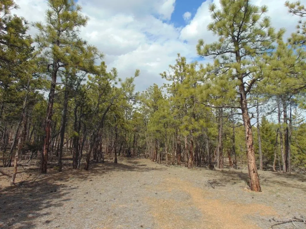 3575 Sweetwater Road Helena MT 59602