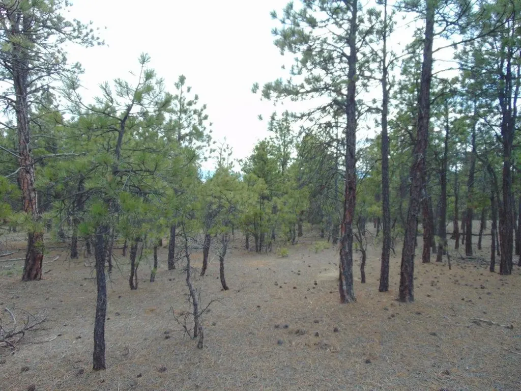 3575 Sweetwater Road Helena MT 59602